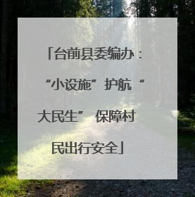 台前县委编办：“小设施”护航“大民生” 保障村民出行安全