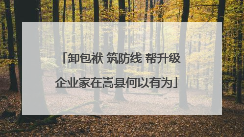 卸包袱 筑防线 帮升级 企业家在嵩县何以有为