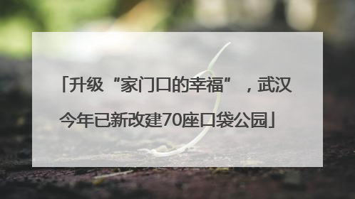 升级“家门口的幸福”，武汉今年已新改建70座口袋公园