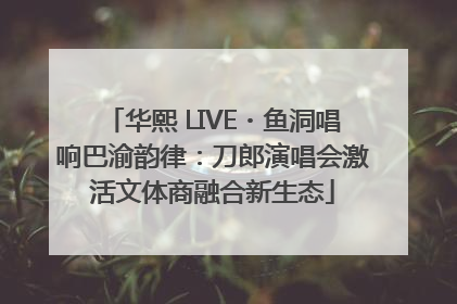 华熙 LIVE・鱼洞唱响巴渝韵律：刀郎演唱会激活文体商融合新生态