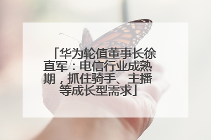 华为轮值董事长徐直军：电信行业成熟期，抓住骑手、主播等成长型需求