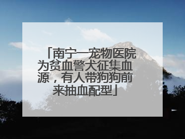 南宁一宠物医院为贫血警犬征集血源，有人带狗狗前来抽血配型