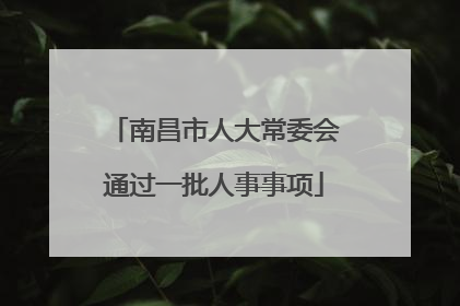南昌市人大常委会通过一批人事事项