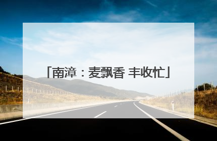南漳：麦飘香 丰收忙