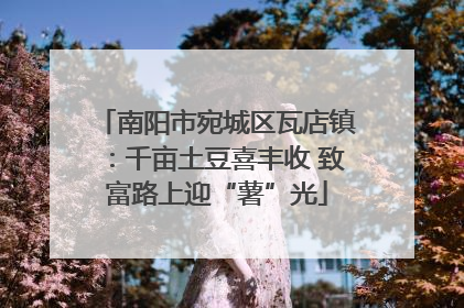 南阳市宛城区瓦店镇：千亩土豆喜丰收 致富路上迎“薯”光