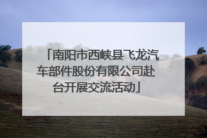 南阳市西峡县飞龙汽车部件股份有限公司赴台开展交流活动