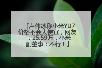 卢伟冰称小米YU7价格不会太便宜，网友：25.59万，小米副董事：不行！
