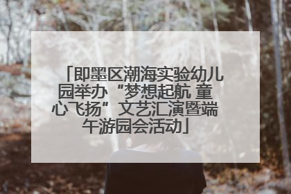 即墨区潮海实验幼儿园举办“梦想起航 童心飞扬”文艺汇演暨端午游园会活动
