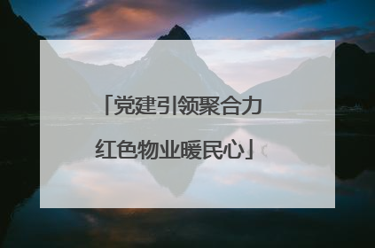党建引领聚合力 红色物业暖民心
