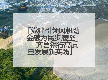 党建引领风帆劲 金融为民步履坚——齐鲁银行高质量发展新实践