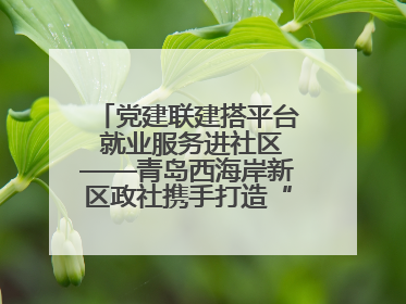党建联建搭平台 就业服务进社区——青岛西海岸新区政社携手打造“零工之家”就业服务新阵地