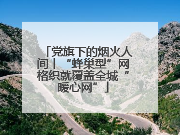 党旗下的烟火人间丨“蜂巢型”网格织就覆盖全城“暖心网”