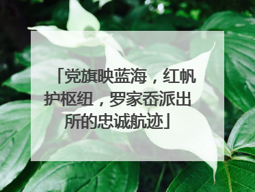 党旗映蓝海，红帆护枢纽，罗家岙派出所的忠诚航迹