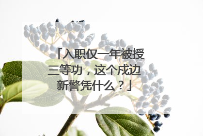 入职仅一年被授三等功，这个戍边新警凭什么？
