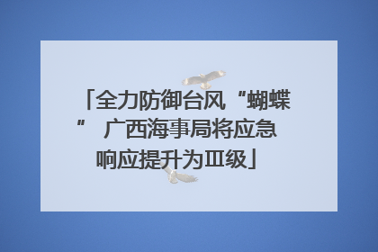 全力防御台风“蝴蝶” 广西海事局将应急响应提升为Ⅲ级