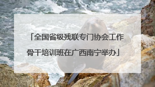 全国省级残联专门协会工作骨干培训班在广西南宁举办