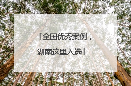 全国优秀案例，湖南这里入选