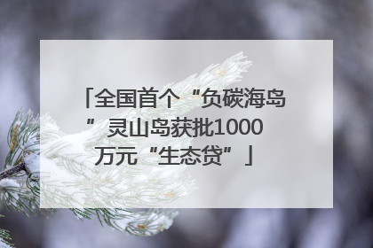 全国首个“负碳海岛”灵山岛获批1000万元“生态贷”