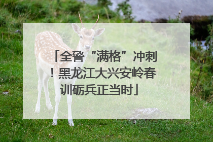 全警“满格”冲刺！黑龙江大兴安岭春训砺兵正当时