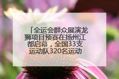全运会群众展演龙狮项目预赛在扬州江都启幕，全国33支运动队320名运动员“龙争狮斗”