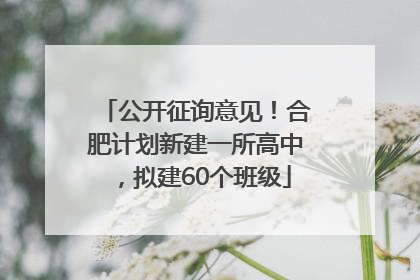 公开征询意见！合肥计划新建一所高中，拟建60个班级