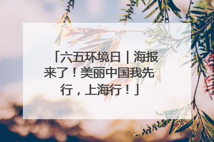 六五环境日｜海报来了！美丽中国我先行，上海行！