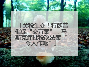 关税生变！特朗普催促“交方案”，马斯克痛批税改法案“令人作呕”