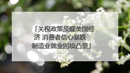 关税政策反噬美国经济 消费者信心暴跌 制造业就业困境凸显