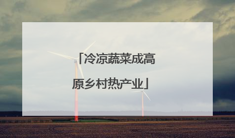 冷凉蔬菜成高原乡村热产业