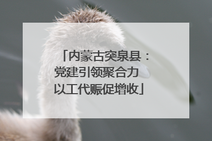 内蒙古突泉县：党建引领聚合力 以工代赈促增收