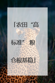 农田“高标准” 粮仓根基稳