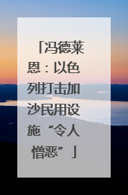 冯德莱恩：以色列打击加沙民用设施“令人憎恶”