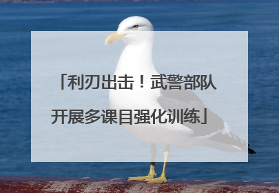 利刃出击！武警部队开展多课目强化训练