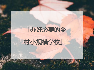 办好必要的乡村小规模学校