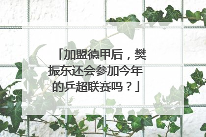 加盟德甲后，樊振东还会参加今年的乒超联赛吗？