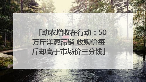 助农增收在行动：50万斤洋葱滞销 收购价每斤却高于市场价三分钱