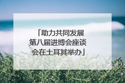 助力共同发展 第八届进博会座谈会在土耳其举办