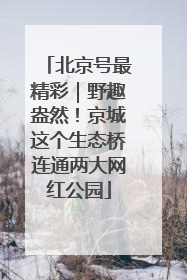 北京号最精彩｜野趣盎然！京城这个生态桥连通两大网红公园