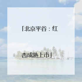 北京平谷：红杏成熟上市