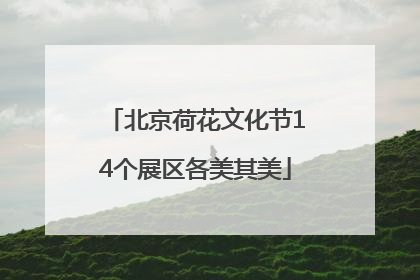 北京荷花文化节14个展区各美其美