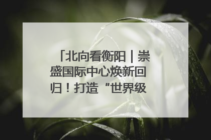 北向看衡阳｜崇盛国际中心焕新回归！打造“世界级美食主题公园”
