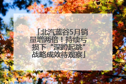 北汽蓝谷5月销量增两倍！持续亏损下“深蹲起跳”战略成效待观察