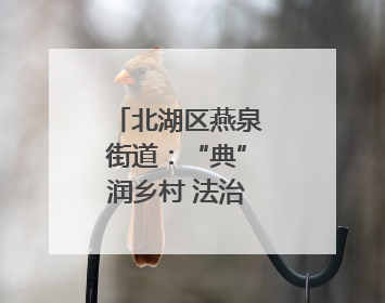 北湖区燕泉街道：“典”润乡村 法治清风拂民心