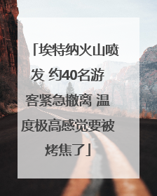 埃特纳火山喷发 约40名游客紧急撤离 温度极高感觉要被烤焦了