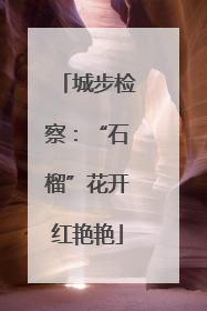 城步检察：“石榴”花开红艳艳