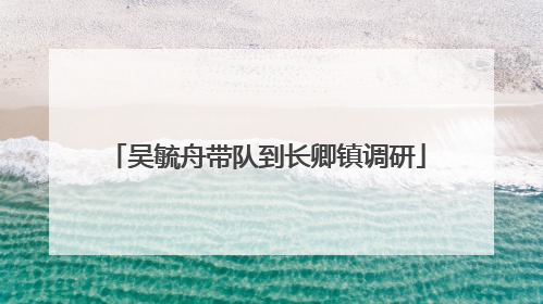 吴毓舟带队到长卿镇调研