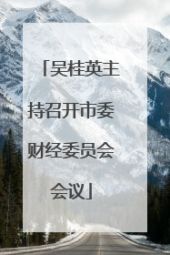 吴桂英主持召开市委财经委员会会议
