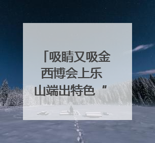 吸睛又吸金 西博会上乐山端出特色“硬菜”｜西博视界