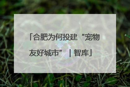 合肥为何投建“宠物友好城市”｜智库