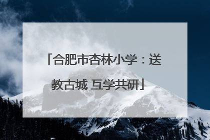 合肥市杏林小学：送教古城 互学共研
